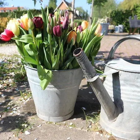 - Het Oude Dorp Gasthuis *