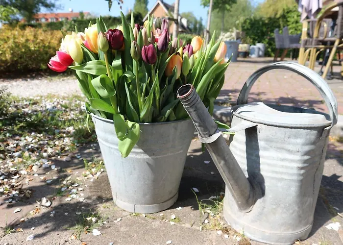 - Het Oude Dorp Gasthuis 4*