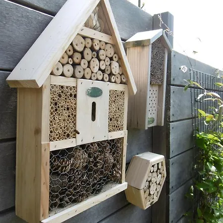- Het Oude Dorp 4*